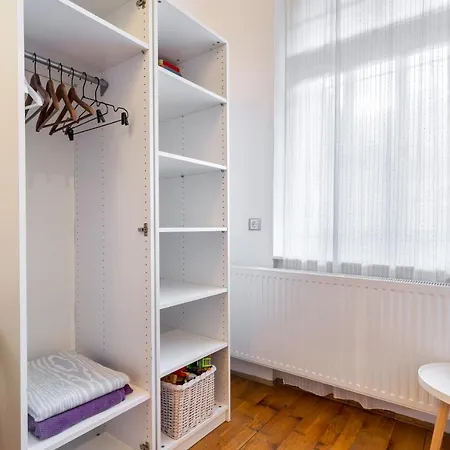 Classic Elegance With Synagogue View By Astoria * Budapest