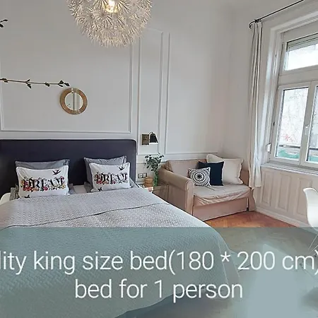 Classic Elegance With Synagogue View By Astoria Apartment Budapest